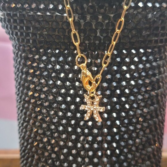 Pisces Zodiac Tumbler Charm - Picture 3 of 5